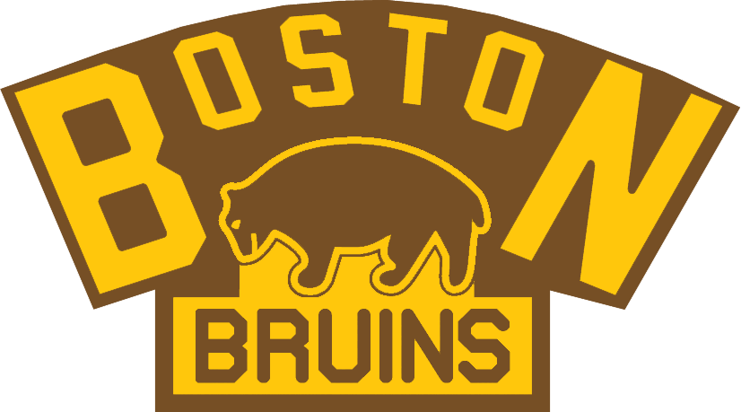 Boston Bruins 1924-1926 Primary Logo t shirts DIY iron ons